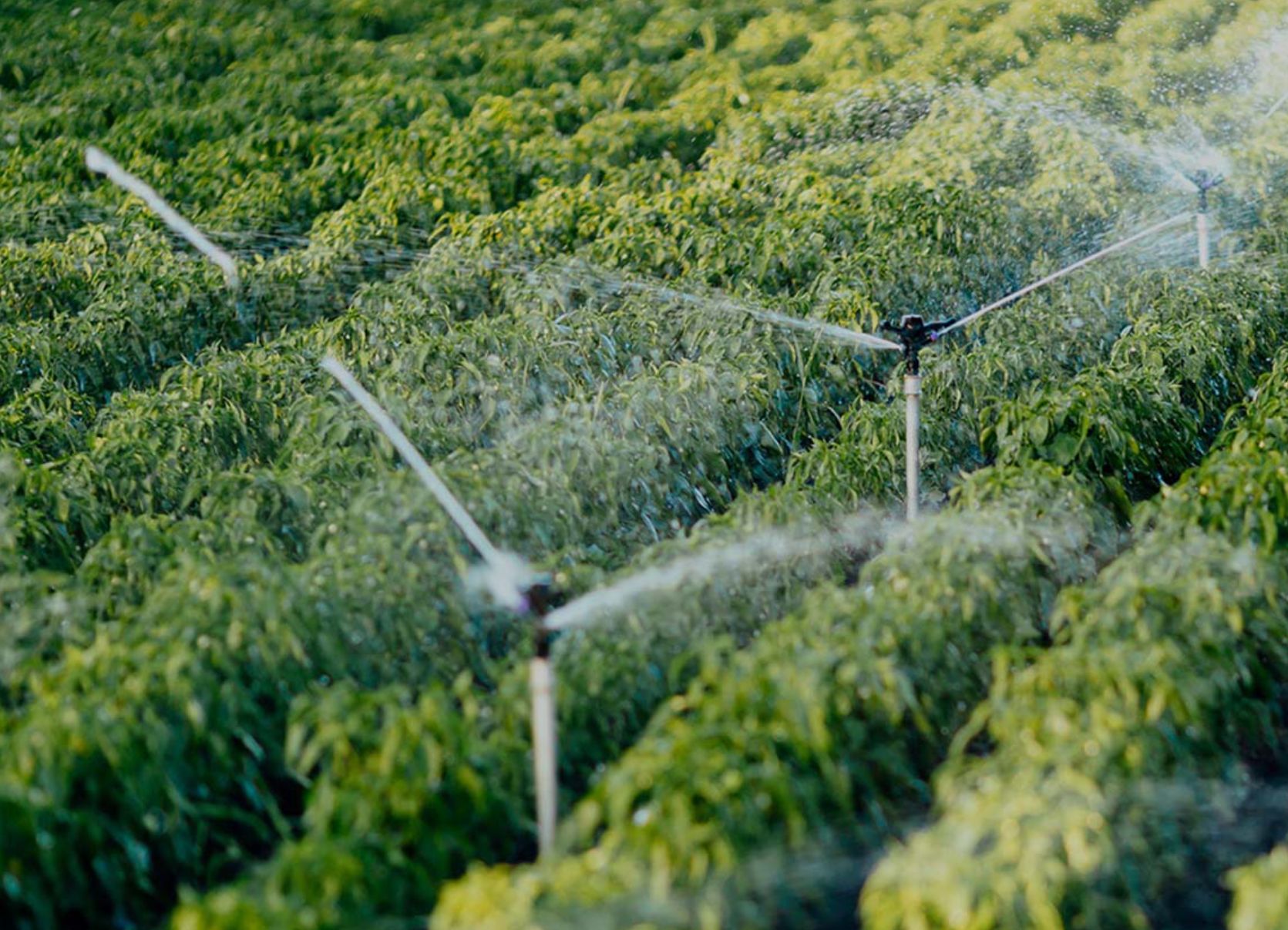 agence digitale casablanca