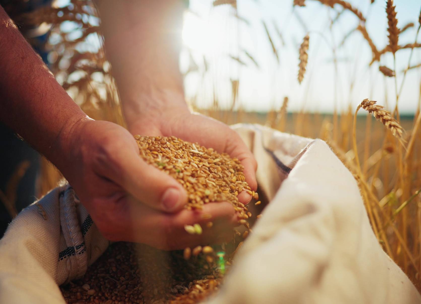 agence digitale casablanca